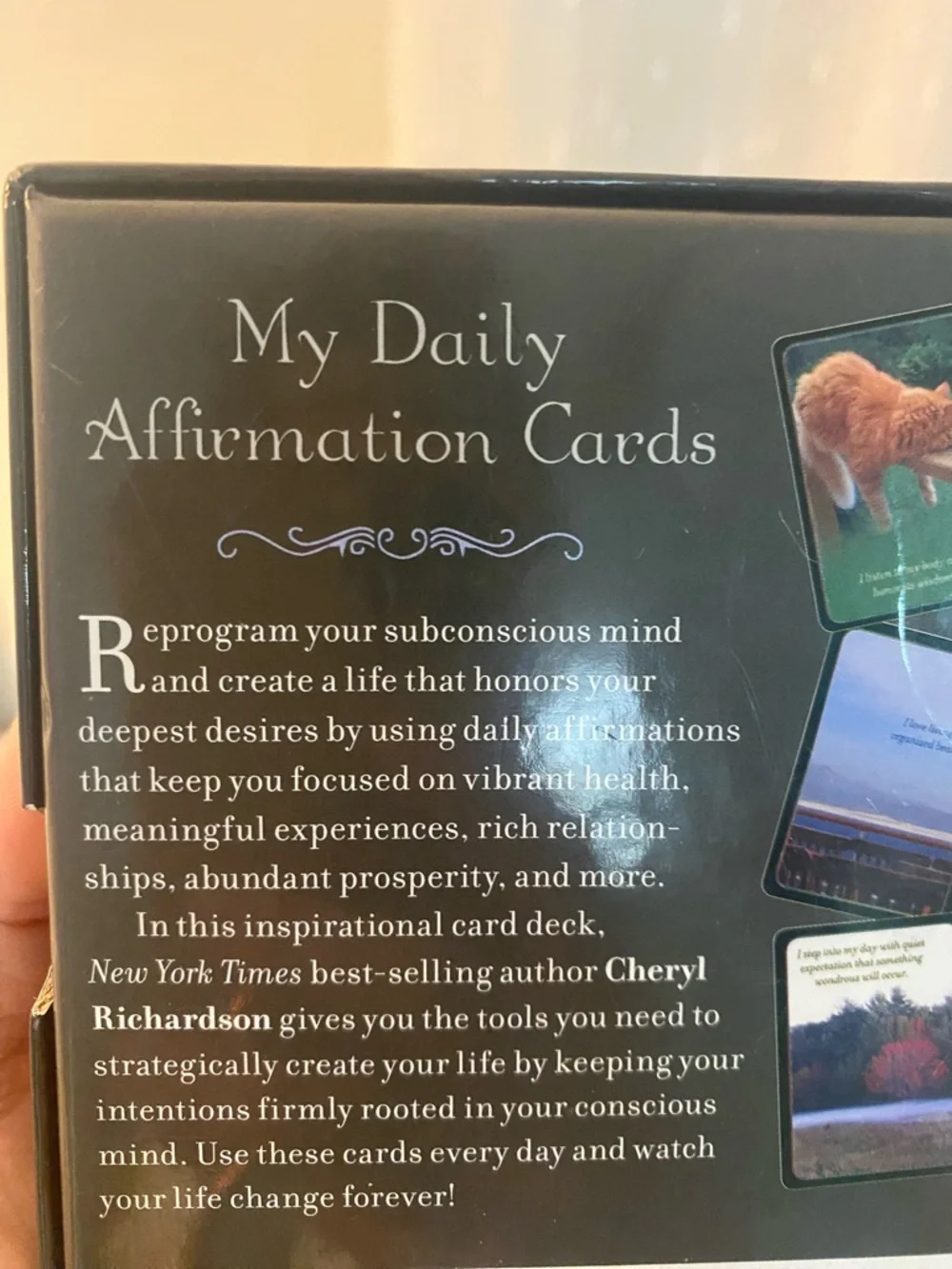 Cheryl Richardson My Daily Affirmation Cards - Blue/Brown Deck